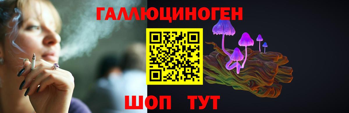 Псилоцибиновые грибы Cubensis  Вход с VPN  Ипатово 